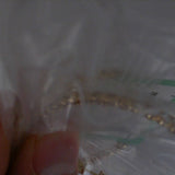 Lab Grown Diamond Earring