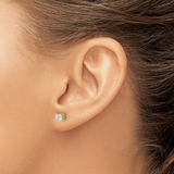 0.50ct Lab Grown Diamond Stud Earrings in 14K Yellow Gold