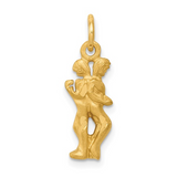Gold Pendants / Charm