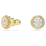 Fashion Jewelry