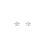 Fashion Jewelry