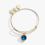 Alex & Ani Jewelry