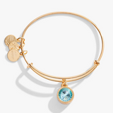Alex & Ani Jewelry