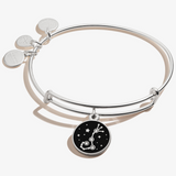 Alex & Ani Jewelry