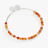 Alex & Ani Jewelry