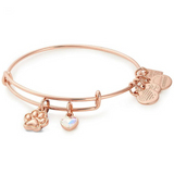 Alex & Ani Jewelry