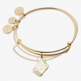 Alex & Ani Jewelry
