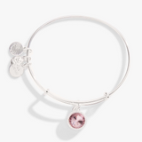 Alex & Ani Jewelry