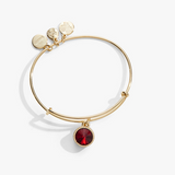 Alex & Ani Jewelry