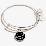 Alex & Ani Jewelry
