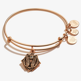 Alex & Ani Jewelry