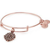 Alex & Ani Jewelry