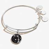 Alex & Ani Jewelry