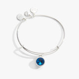 Alex & Ani Jewelry