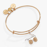 Alex & Ani Jewelry