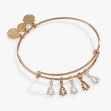 Alex & Ani Jewelry