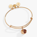 Alex & Ani Jewelry