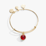 Alex & Ani Jewelry