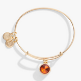 Alex & Ani Jewelry