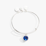 Alex & Ani Jewelry