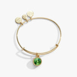 Alex & Ani Jewelry