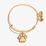 Alex & Ani Jewelry