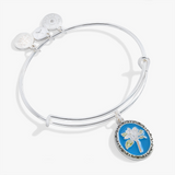 Alex & Ani Jewelry