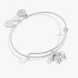 Alex & Ani Jewelry