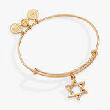 Alex & Ani Jewelry