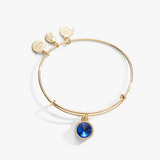 Alex & Ani Jewelry
