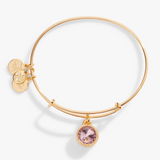 Alex & Ani Jewelry