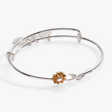 Alex & Ani Jewelry