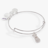 Alex & Ani Jewelry