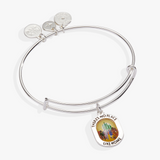 Alex & Ani Jewelry