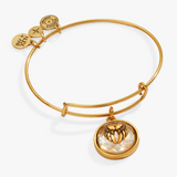 Alex & Ani Jewelry