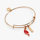 Alex & Ani Jewelry
