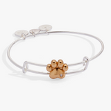 Alex & Ani Jewelry