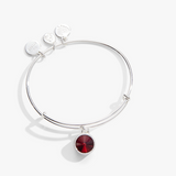 Alex and Ani Crystal Infusion January Birthstone Bangle | Silver