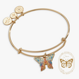Alex and Ani Chrysiridia Rhipheus Butterfly Bangle | Shiny Gold