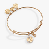 Alex and Ani Pisces Zodiac Charm Bangle | Two-Tone