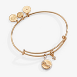 Alex and Ani Taurus Zodiac Charm Bangle | Expandable Bracelet