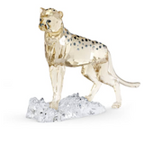 Giftware  -  Crystal