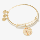 Alex and Ani Sweater Weather Charm Bangle Bracelet - Shiny Gold