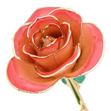 Genuine Blushed Red Rose, Preserved & Dipped in 24K Gold