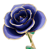 Genuine Imperial Purple Rose Preserved & Dipped in 24K Gold