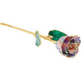 Cream & Picasso Ombre Rose | 24K Yellow Gold Plated Trim