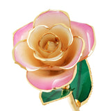 Blushed Pink 24kt Gold Dipped Rose