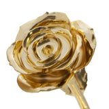 R 308281 Glamorous Gold Dipped Rose - 24kt Gold