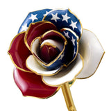 American Glory Gold Dipped Rose - TRJ Concepts