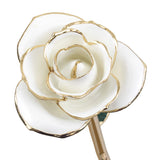 Blissful White 24kt Gold Dipped Rose